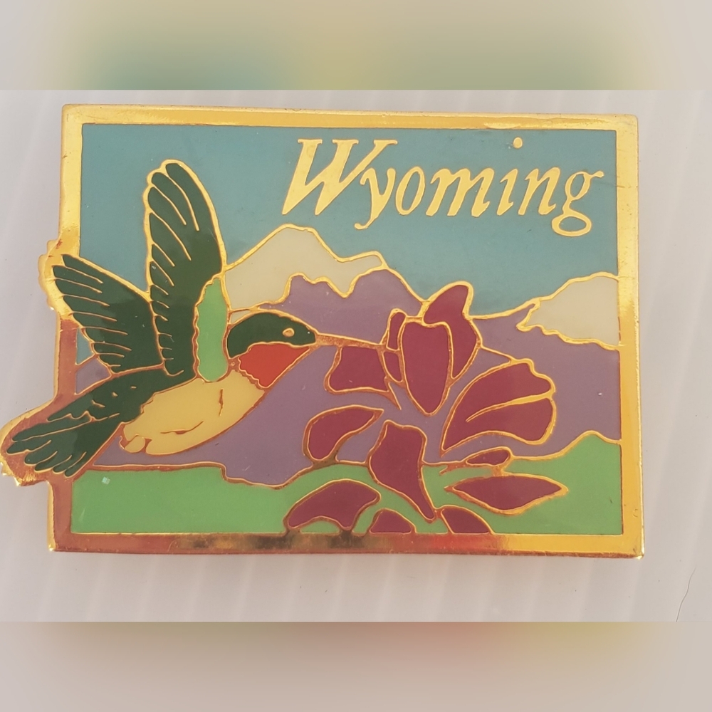 Wyoming Hummingbird Refrigerator Fridge Park Magnet Vintage Metal Mountains